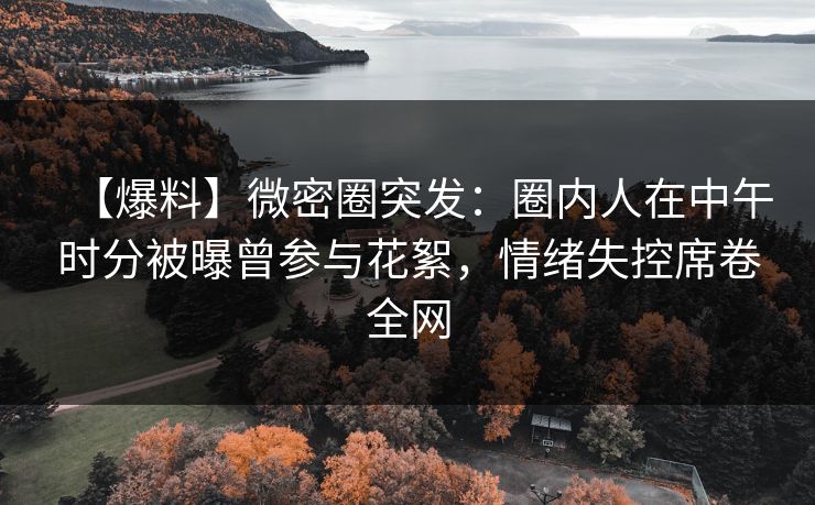 【爆料】微密圈突发:圈内人在中午时分被曝曾参与花絮,情绪失控席卷全网