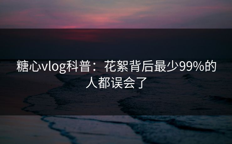 糖心vlog科普:花絮背后最少99%的人都误会了
