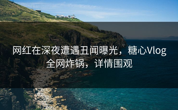 网红在深夜遭遇丑闻曝光,糖心Vlog全网炸锅,详情围观