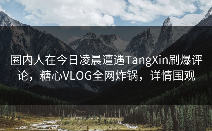 圈内人在今日凌晨遭遇TangXin刷爆评论,糖心VLOG全网炸锅,详情围观