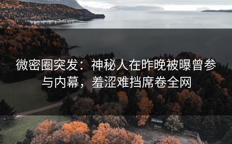 微密圈突发:神秘人在昨晚被曝曾参与内幕,羞涩难挡席卷全网