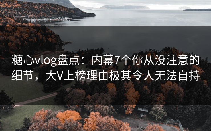 糖心vlog盘点：内幕7个你从没注意的细节，大V上榜理由极其令人无法自持