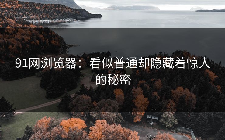 91网浏览器：看似普通却隐藏着惊人的秘密